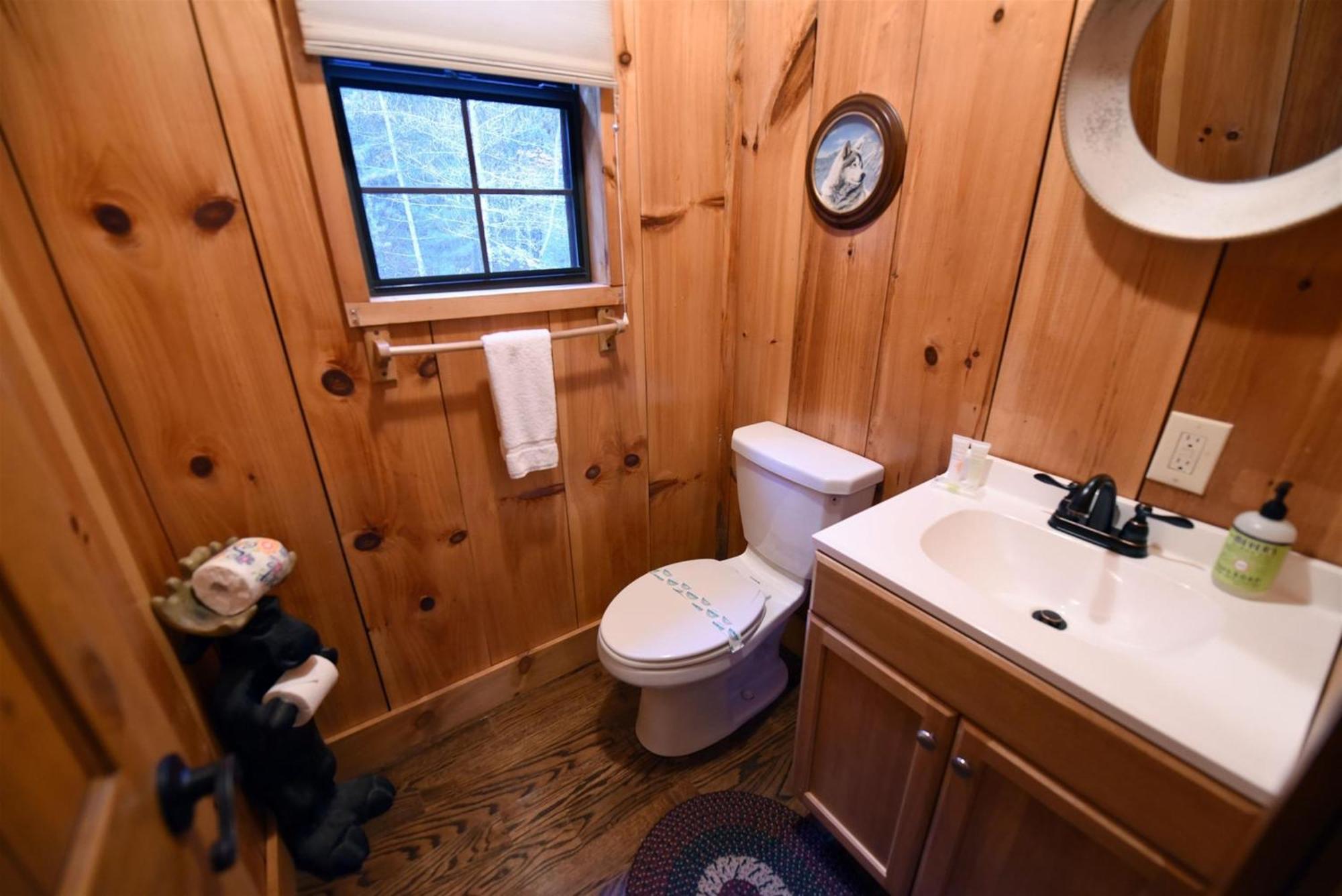 Hawk Haven- Blue Ridge Villa Morganton Ngoại thất bức ảnh